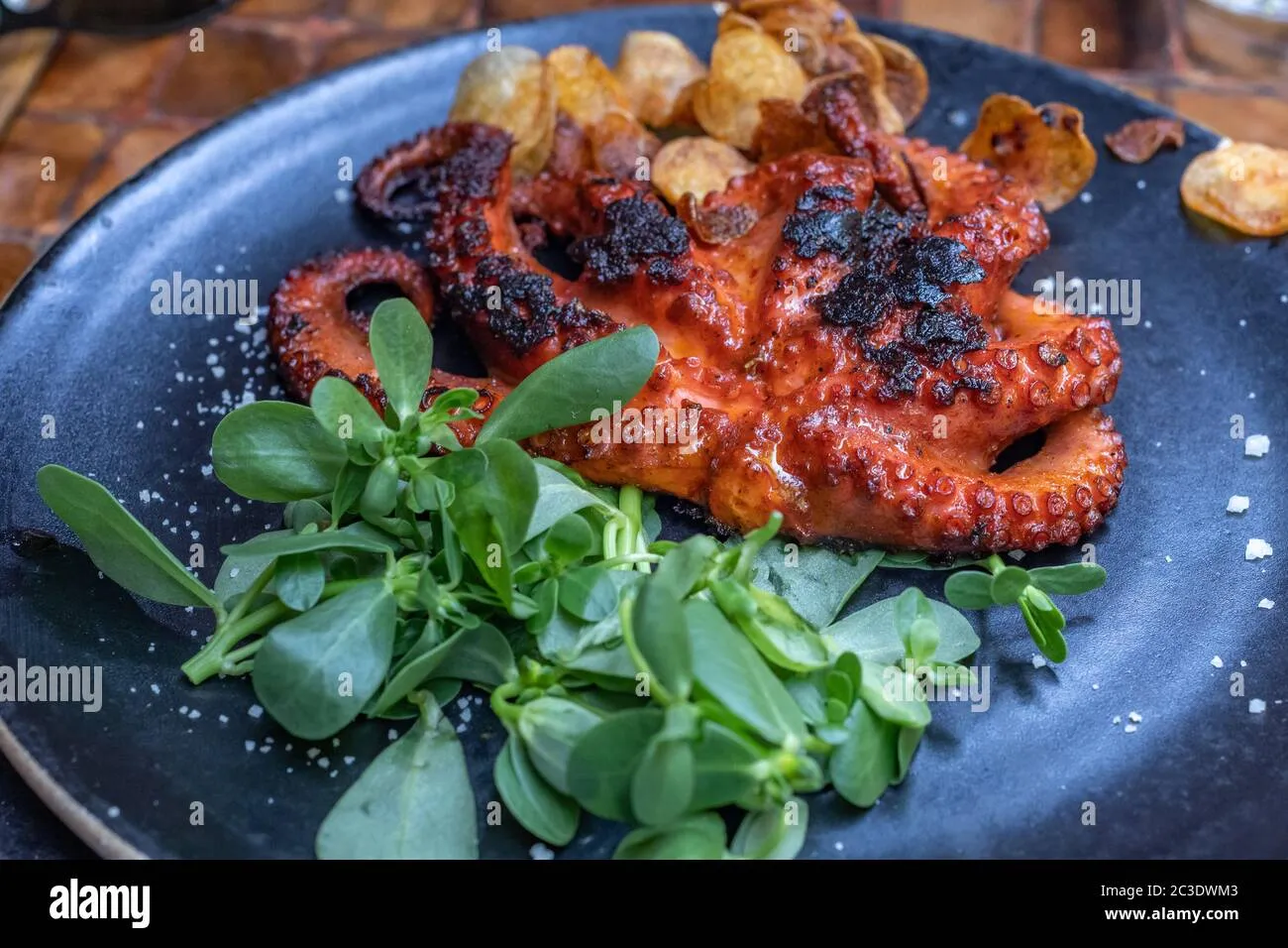 Charred Octopus